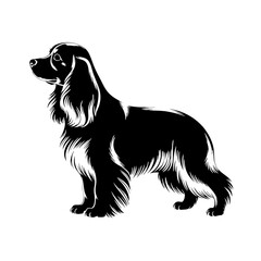 King Charles Spaniel Dog Silhouette in Black and White for Pet Blogs, Animal Welfare Websites, Dog Lover Merchandise, Veterinary Education, and Illustrative Articles  