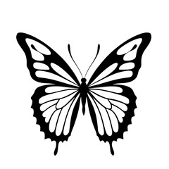 Elegant line art butterfly design transparent background