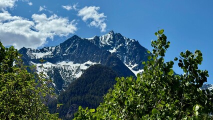Snow-capped mountain with lush greenery and blue sky.