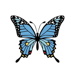 Vibrant blue butterfly illustration transparent background