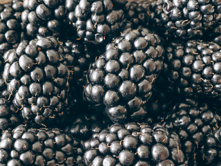 close up of a blackberry