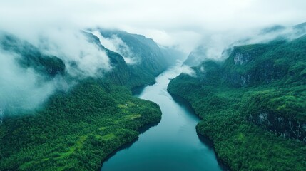 Misty fjord winding through lush green mountains