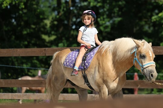 Little girl riding a pony during equestrian lesson on sunny day