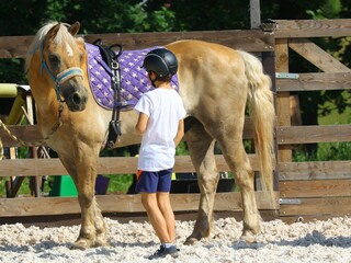 Child facing pony in paddock before riding lesson