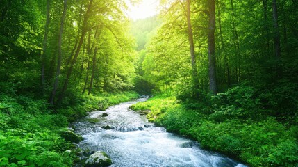 Obraz premium Serene Forest Stream: Sunlight dapples through lush green foliage, illuminating a tranquil stream winding its way through a vibrant forest.