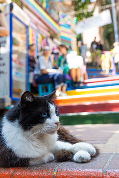 balat istambul 