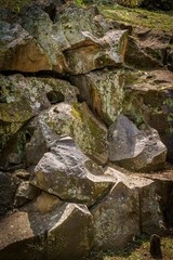 Rocas partidas con musgo