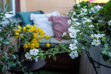 A lived-in balcony with a lounge chair, soft pillows, and blooming flowers. The setting feels real and unpolished, offering a cozy, everyday atmosphere of a personal outdoor space. 