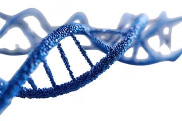 DNA Structure Visualization (3)