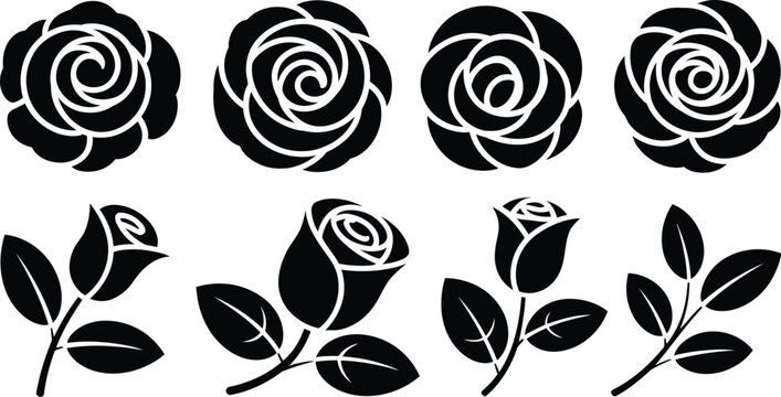 Black rose flower vector set with leaves and blossom design elements