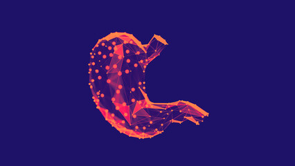 3d render of a vibrant, low-poly stomach over dark background. Human Stomach wireframe made of light points. 3d illustration