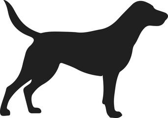 Black Dog Silhouette Isolated on White Background