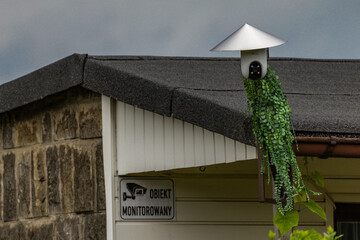 A camera recording image and sound hidden among flowers and plants, city monitoring, a camera...