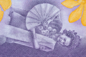 Macro of woman on indonesian ten thousand Rupiah bank note
