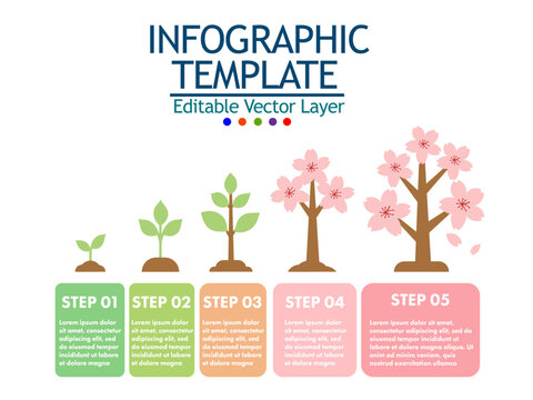 Growth tree infographic template with 5 steps for business, education, or environmental presentations. Editable vector layer.