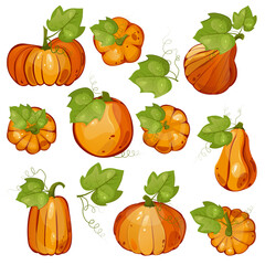 Pumpkins with leaves for autumn harvest,Halloween,Thanksgiving design.For greeting cards, posters, flyers, banners for fall festivals and farmers’ markets, packaging,website, game icons, textile