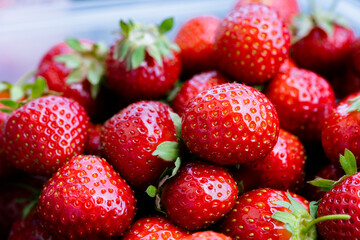 Red strawberries freshly plucked in bowl as healthy fruit jam ingredient in summer 1