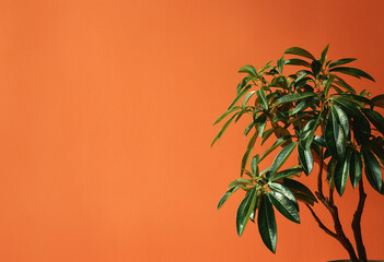 Close-up of plant against wall, Green Fern Planter Against Yellow Background, Leaves on Vibrant Color Background.