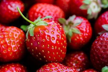 Red strawberries freshly plucked in bowl as healthy fruit jam ingredient in summer 3