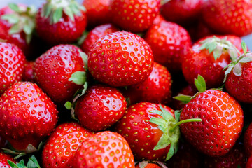 Red strawberries freshly plucked in bowl as healthy fruit jam ingredient in summer 2