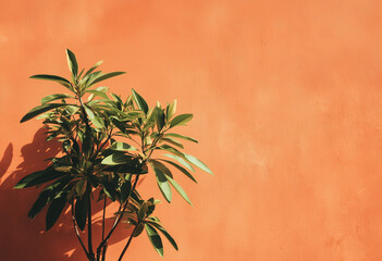Close-up of plant against wall, Green Fern Planter Against Yellow Background, Leaves on Vibrant Color Background.