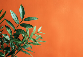 Close-up of plant against wall, Green Fern Planter Against Yellow Background, Leaves on Vibrant Color Background.