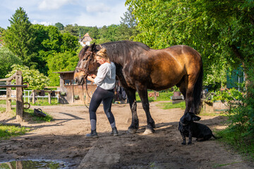 Authentic rural life captured as woman walks her horse through paddock, with loyal black dog...