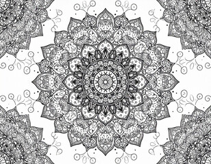 Floral Line Art