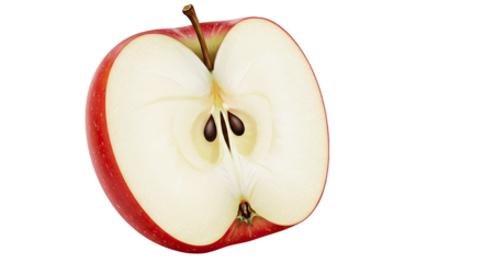 Detailed illustration of a ripe red apple cut in half isolated on black background