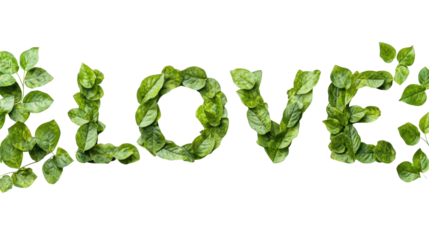 Wordplay with Love: A botanical composition spells out "LOVE," using vibrant green leaves, evoking themes of affection and nature.