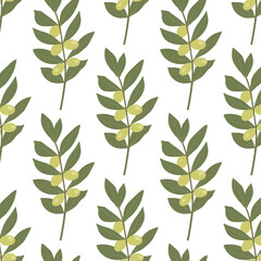 Olive branch with fruits on a white background. Botanical vector seamless pattern.