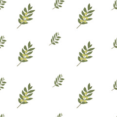 Vector seamless pattern. Olive branch with fruits on a white background.
