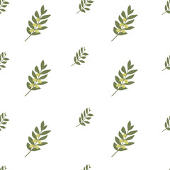 Vector seamless pattern. Olive branch with fruits on a white background.