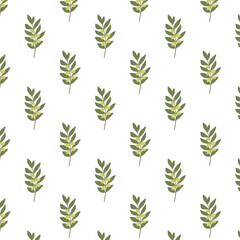 Botanical vector seamless pattern. Olive tree branches with fruits on a white background.