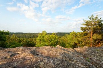 Point of view of the Queen rock in the  Trois Pignons forest. Fontainebleau Massif