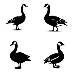 Goose Silhouette Isolated on White Background – Waterfowl Bird Vector Illustration
