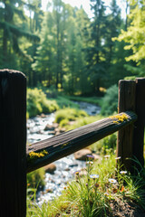 Wooden Fence Framing Wildflowers by a Stream