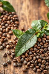 Fresh Coffee Beans with Green Leaves