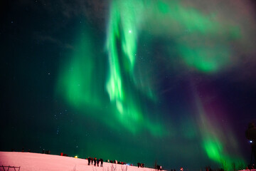 ノルウェー・トロムソの夜空に輝く幻想的なオーロラ