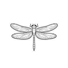 Detailed illustration of a dragonfly showcasing intricate wing patterns and body structure in black outline