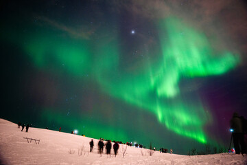 ノルウェー・トロムソの夜空に輝く幻想的なオーロラ