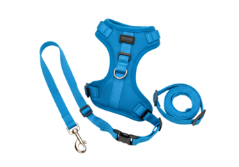 Teal Dog Harness and Leash Set isolated on transparent baackground