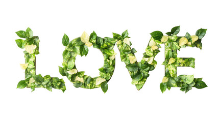 Love Blossoms: The word "LOVE" elegantly crafted from lush green leaves, representing nature's embrace.