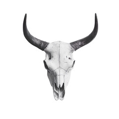 Fototapeta premium bull skull isolated on transparent background