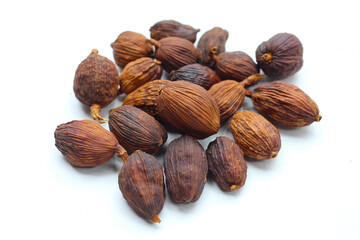Black Cardamom or Greater Cardamom, White background.