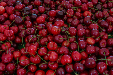 Summer outdoor market with big variaty of fruits, under a tent, Sweden.