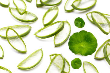 Fresh aloe vera slices and centella asiatica leaves on white background. Natural skincare ingredient