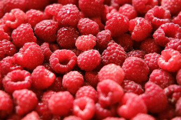 Sweet raspberry background. Full frame of fresh raspberries. Red ripe berry photo wallpaper closeup. Juicy berries. Vegetarian, vegan raw food. Organic bio product. From farm to table. Fruit pattern