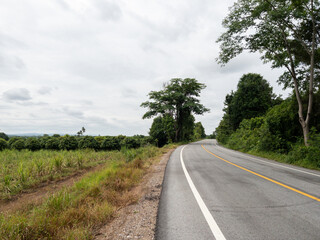 Asphalt Road Through Cassava Fields in Hilly Countryside.