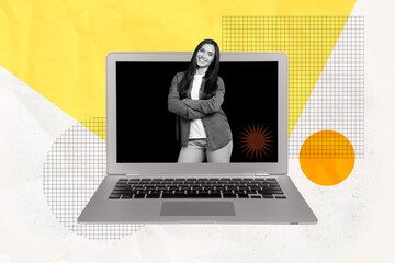 Image full trendy 3d collage poster of happy businesswoman stand laptop keypad video call coding...